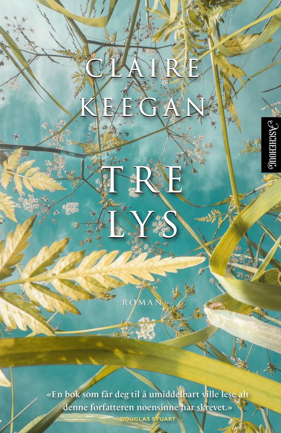 Foto: Aschehoug Bokomslaget til boka "Tre lys" av Claire Keegan